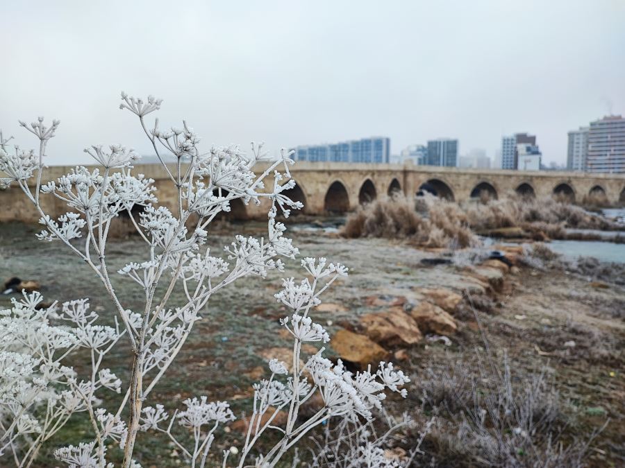 Sivas’ta kırağı güzelliği (Video)