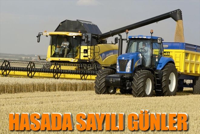 HASADA SAYILI GÜNLER