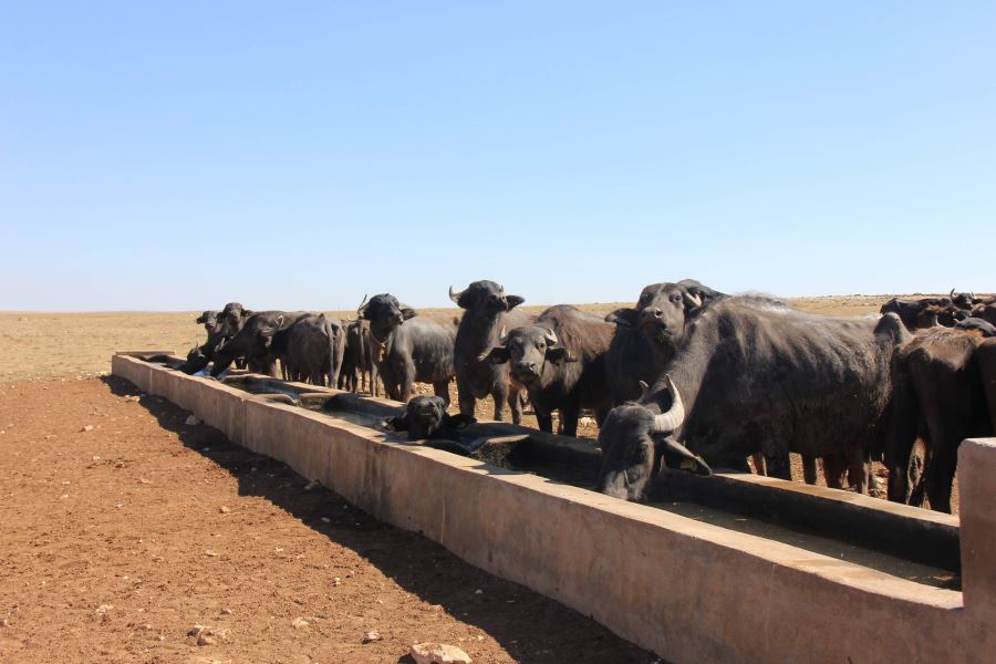 Yatırım 18 milyonu aştı