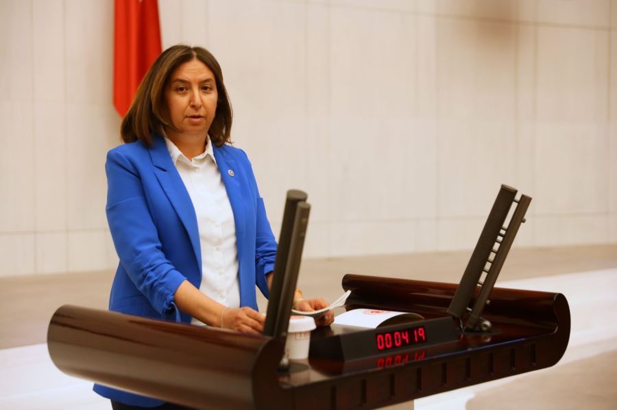 ÖDENEK SORUNUMUZ YOK (VİDEO)