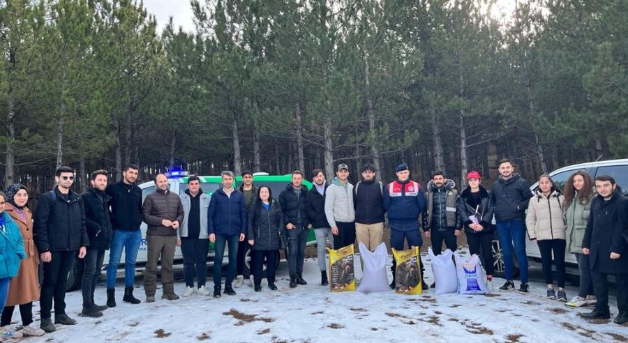 Yaban hayatı unutulmadı