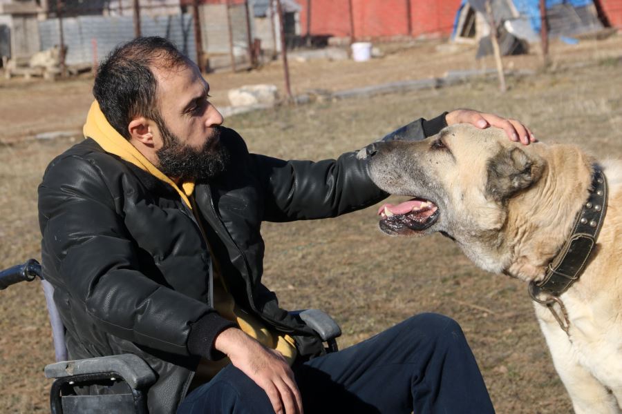 Engelini çok sevdiği Kangallarla aştı (Video)