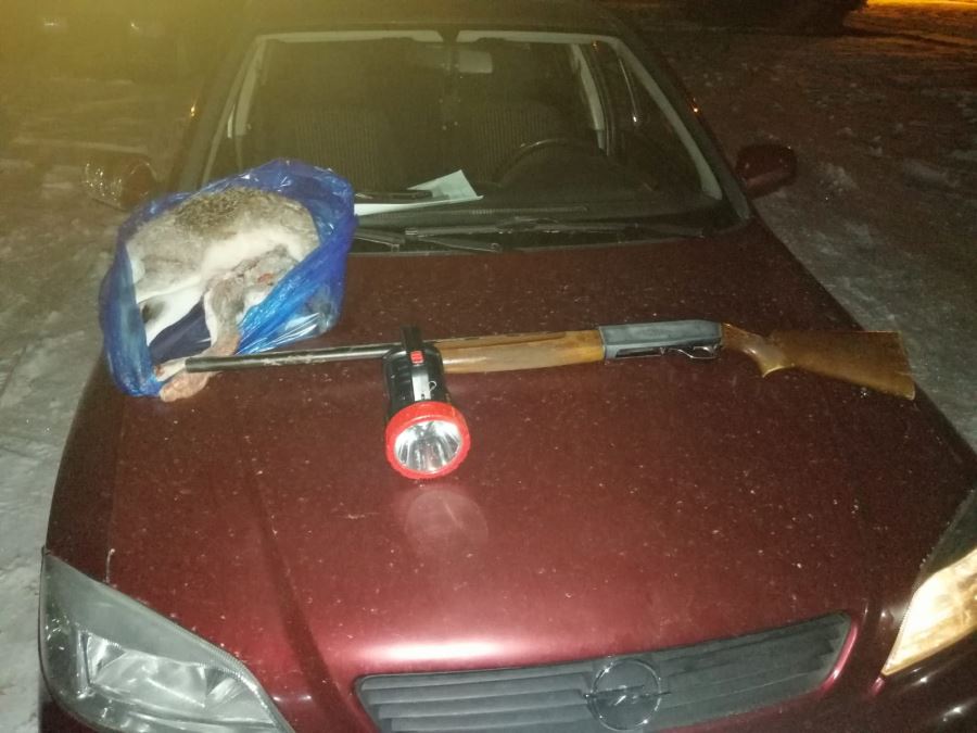 Tavşan avcıları kaçamadı