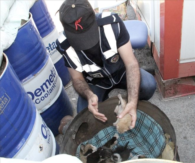 SOKAK KEDİLERİNE POLİSLER SAHİP ÇIKTI