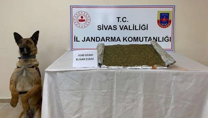'Resim' 4,5 Kilo Esrarı Yakaladı