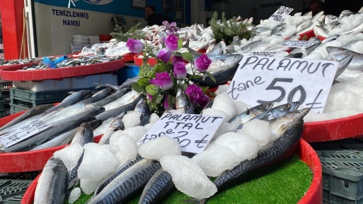 Bol Palamutlu Sezon Sonu