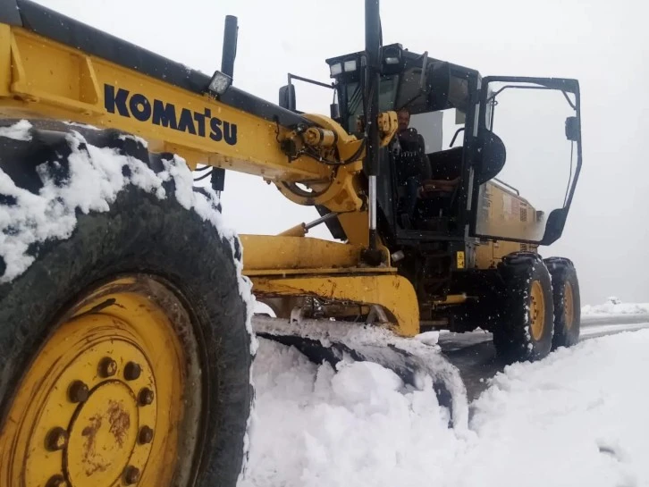 Baharı Beklerken Kış Geldi