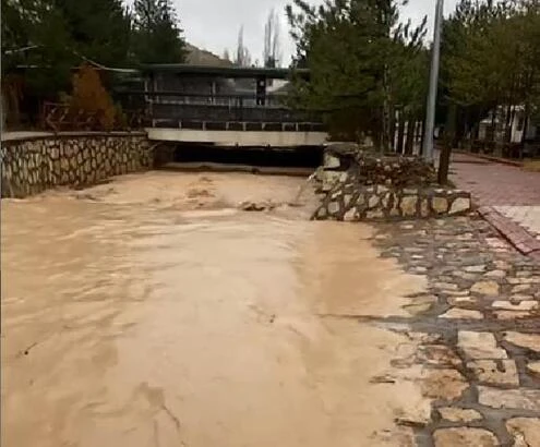 Doktor Balıklar'da Sel Tehlikesi