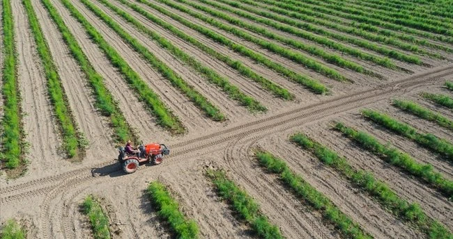 Deprem Tarım Üretimini Vurdu