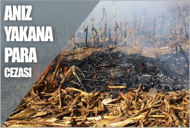 ANIZ YAKANA PARA CEZASI