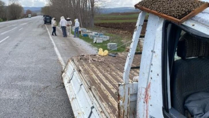 Kazada Arı Kovanları Yola Saçıldı