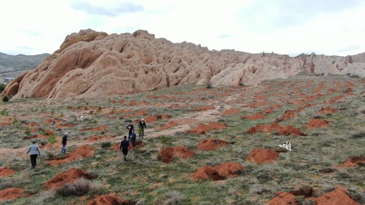 Eğribucak Kayalıkları Yeşillenecek