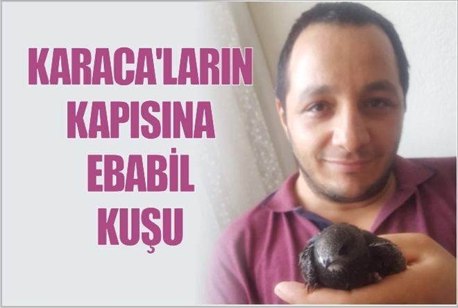 KARACA´ların KAPISINA EBABİL KUŞU