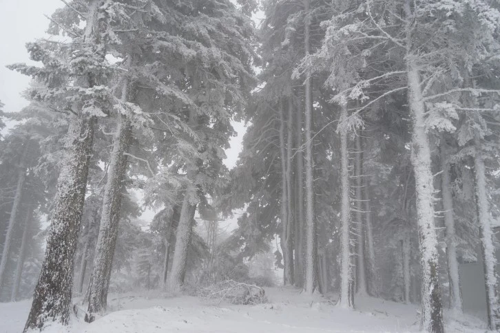 Ilgaz'da Kar Sürprizi