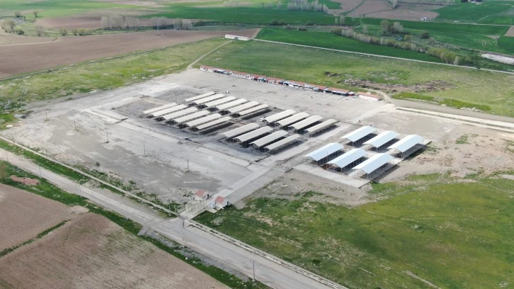 Şarkışla Hayvan Pazarı Açılmayı Bekliyor