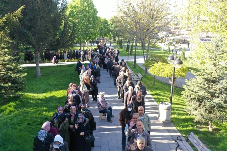 Domates Fidesi Kuyruğu