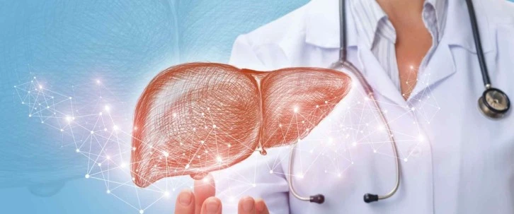 Karaciğer Büyümesine Dikkat