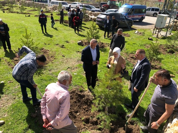 Ulaş’ta Fidan Dikim Etkinliği