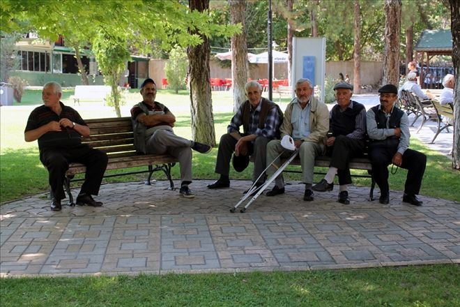 ÇAREYİ GÖLGEDE  ARADILAR