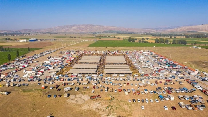 Şarkışla Hayvan Pazarı Açıldı