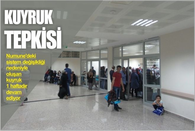 ?KUYRUK´ TEPKİSİ