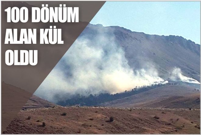 100 DÖNÜM ALAN KÜL OLDU