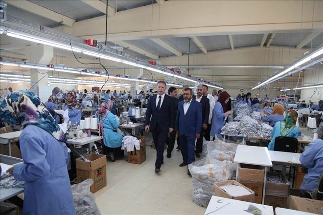 VALİ GÜL, ÜRETİM ALANLARINI GEZDİ