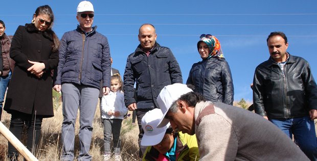 VALİ GÜL´DEN YEŞİL SİVAS´A DESTEK