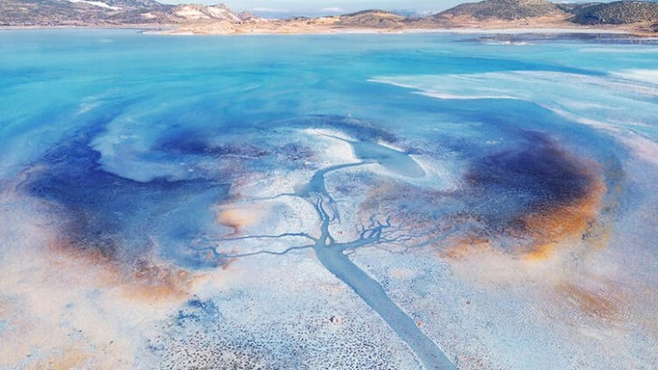 Yok Olma Tehlikesiyle Karşı Karşıyalar