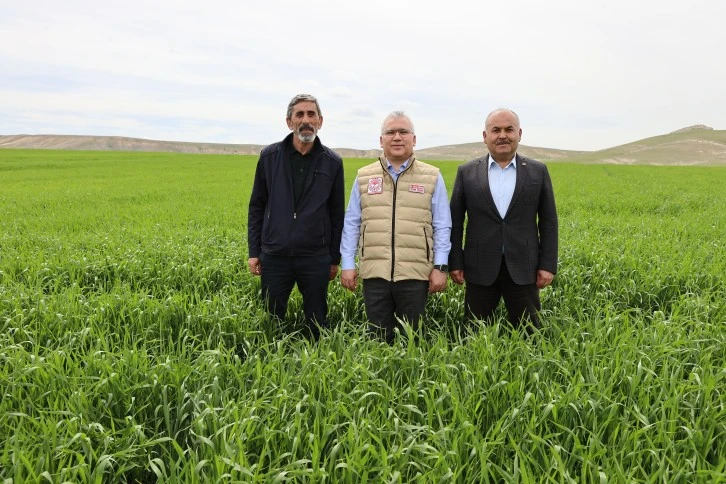 Yüksek Rekolte Bekleniyor