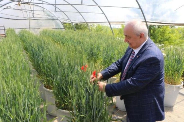 Aşırı Sıcaklık Tarım ve Su Kaynaklarında Problem Yaratabilir