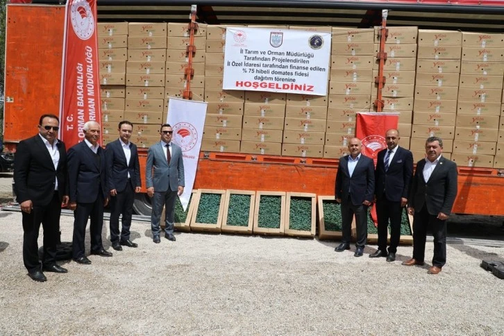 Akıncılar'da Domatesi Fidesi Dağıtıldı