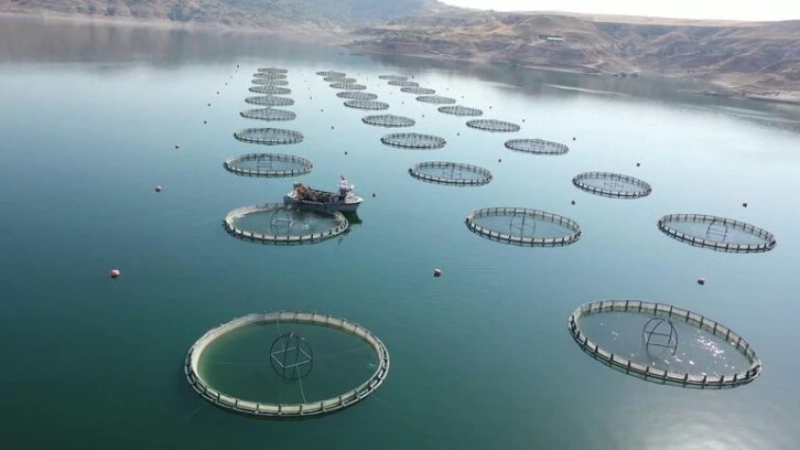 Alabalık Üretiminde Dünyada 2'nciyiz