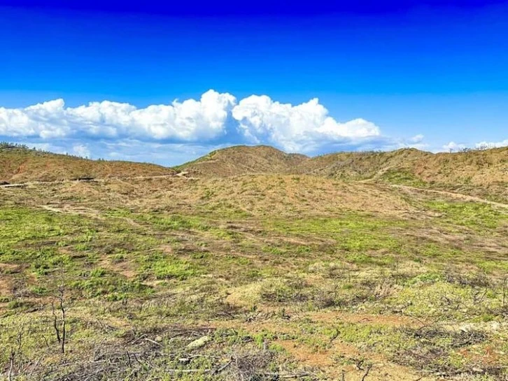 Marmaris'te Yanan Alanlar Yeşillenmeye Başladı
