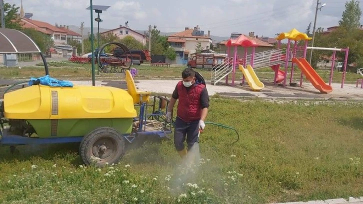 Keneye Karşı İlaçlama
