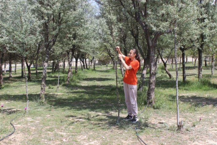 Okul Bahçesinin Bahçıvanı Öğrenciler Oldu