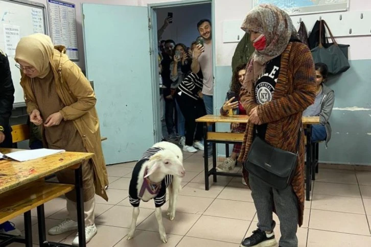 Oyunu Kuzusuyla Birlikte Kullandı