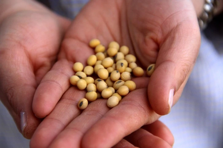 Türk Tarımına Damga Vuracak Hamle