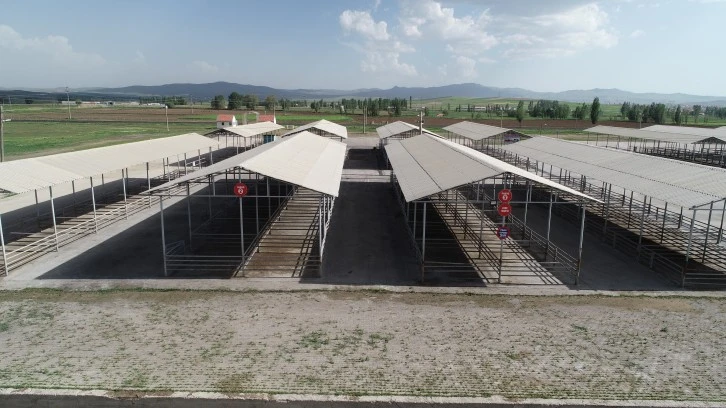 Hayvan Pazarları Kapatıldı