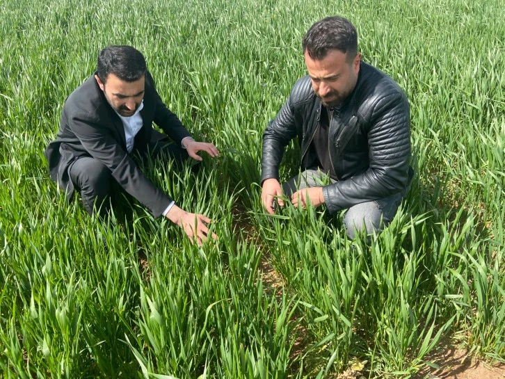 Verim Düşüklüğü Yaşanabilir