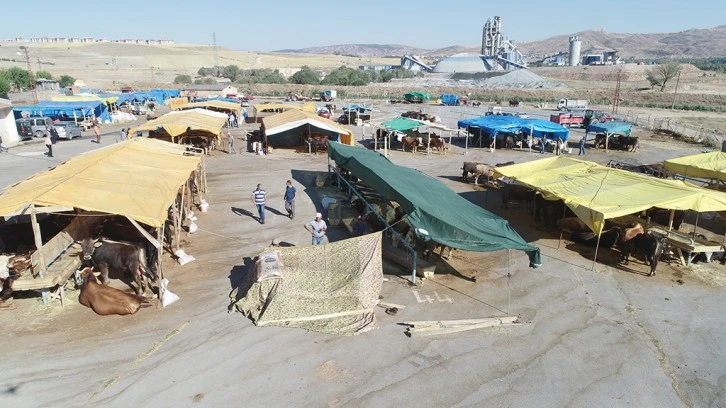 Kurban Pazarı Müracaatları Başladı