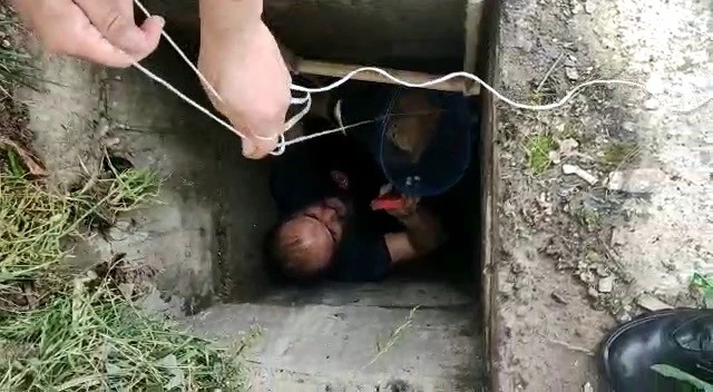 Kuyuda Mahsur Kalan Kediler Kurtarıldı