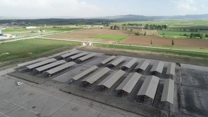 Kurban Pazarı Ahırlar Bölgesinde Kurulacak