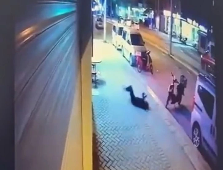 Şule Çet Davasındaki Uzmanlar İnceleyecek