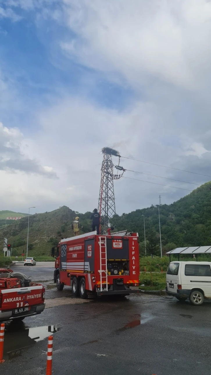 Leylek Yuvasına Yıldırım Düştü