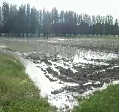 Tarım Arazilerini Su Bastı