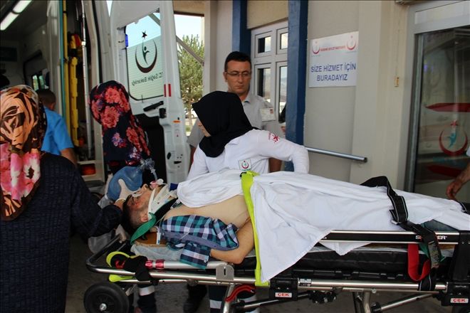 AĞAÇTAN DÜŞEN GENÇ YARALANDI