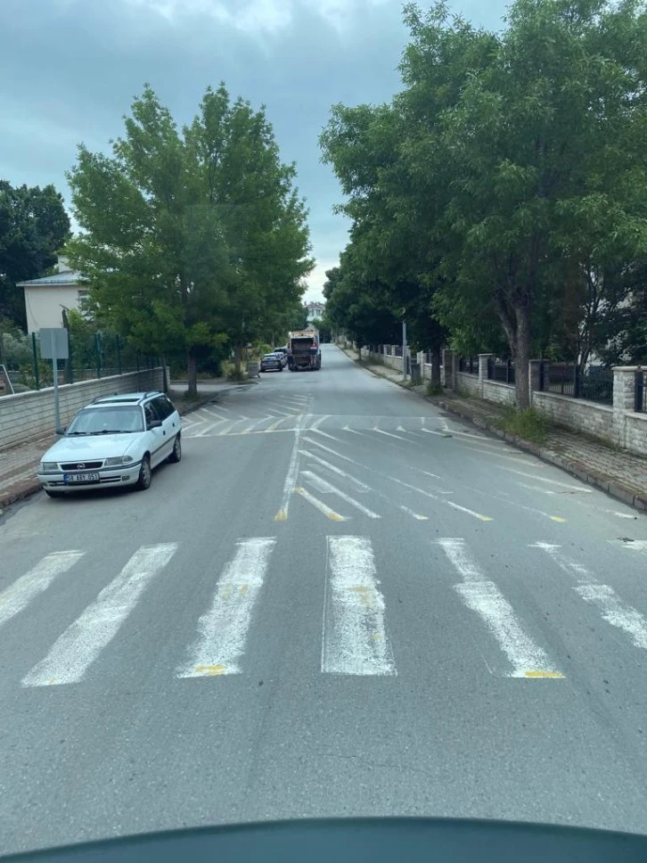 Ağaçlar Budanmayı Bekliyor