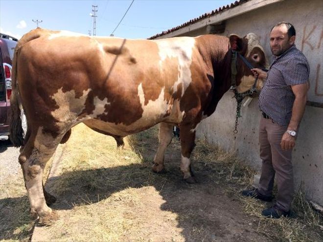 1.352 KİLO 28 BİN LİRA