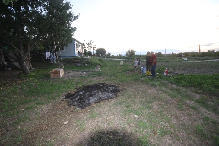 Köpeğe Saldıran Kurt Güvenlik Kamerasında